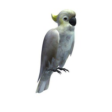 bird v1 umbrella cockatoo adult animals printable lowpoly 3d print model - Mito3D