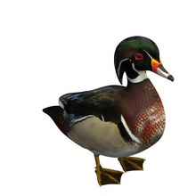 bird v1 wood duck male animals printable lowpoly 3d print model - Mito3D