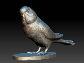 d'oiseaux animal médaille de bronze l'argile decarotive furkan modèle paya la sculpture zbrush 3d print model - Mito3D