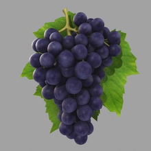 de uvas pretas o preto alimentos frutas jardim uva heromen30 a cozinha folha modelo natureza planta árvore videira 3d print model - Mito3D