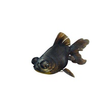 siyah moor goldfish v1 balık su hayat yazdırılabilir lowpoly 3d print model - Mito3D