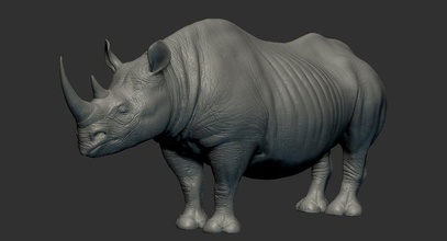 rinoceronte negro animal ankadam bicornis diceros el gancho labio modelo rhino 3d print model - Mito3D