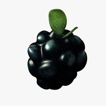 blackberry v02 food printable lowpoly 3d print model - Mito3D