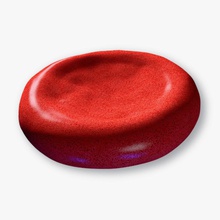 células de la sangre anatomía célula colección médica medicina modelo rojo ciencia unjosnav vena 3d print model - Mito3D