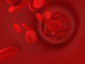 Blut die Zellen Zelle Arzt fatgod88 medizinische Mikrobe Modell rot Forschung Wissenschaft wissenschaftliche 3d print model - Mito3D