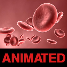 blood cells alan anatomy animated arteries bacteria cell disease dna flow infection medical microscopic science scientific smithee viral virus 3d print model - Mito3D
