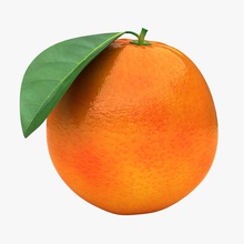 kan portakalı meyve 3dror Görünümüdür c citron narenciye gıda oyun bahçe mutfak yaprak max model turuncu hazır gerçekçi kırmızı tarama çizgi tatlı ağaç tropikal vitaminler V-ray'in sarı 3d print model - Mito3D