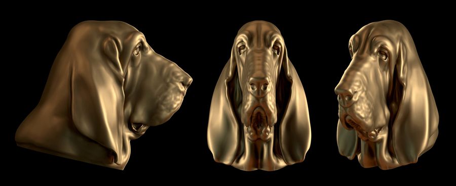sabueso de la cabeza 3d alexandr american animal arquitectura bloodhound el busto canino perro elementos estatuilla libertad vida los mamíferos modelo pavljuk las mascotas presa imprimible cachorro listo escultura estatua símbolo salvaje 3D print model - Mito3D