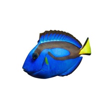 blue tang v1 fish aquatic life printable lowpoly 3d print model - Mito3D