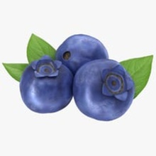 blueberries 3dror 3ds blueberry default exotic food fruit game leaf lower max model poly ready realistic scanline stalk tropic tropical unwrapped vray 3d print model - Mito3D