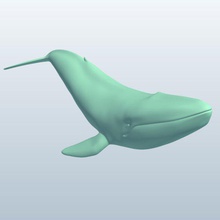 bluewhale v2 bleu la baleine animaux imprimable lowpoly 3d print model - Mito3D