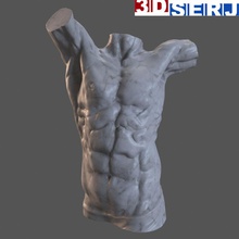 vücut adam 3dserj anatomi mimarlık Bronz büstü dekoratif elemanları iç erkek mermer model portre heykel 3d print model - Mito3D