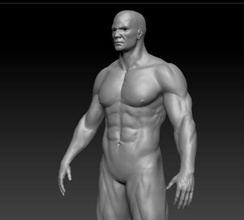 fisiculturista ztool anatomia atlético grande o corpo prédio personagem galelio humanos do sexo masculino homem muscular pessoas pessoa realista esporte fortes zbrush ztl ztools 3d print model - Mito3D