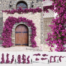 bougainvillea collection 2 bushes climb climber fence flower garden hanging hedges ivy leaf macrox model pergola plant rose shrubs small tree vertical vine wall 3d print model - Mito3D