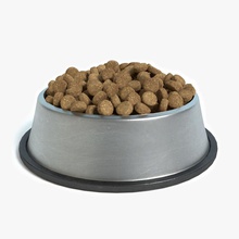 bowl dog food abramsdesign animal cat container dinner domestic model pets 3d print model - Mito3D