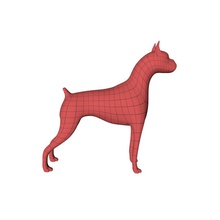 boxer chien mesh de base 3pdmedia animal la canine les mammifères maillage modèle animaux compagnie 3d print model - Mito3D