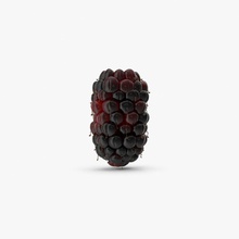 boysenberry berry el postre de la dieta alimentos fruta modelo orgánica producir royalmix 3d print model - Mito3D