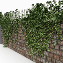 brick castle wall fence ivy architecture defensive englang english expensive forest house litarvan luxurious manor mansion model parking plant rail residence 3d print model - Mito3D