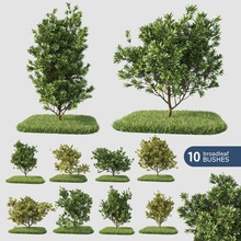 geniş yapraklı çalılar 10 Botanik paket toplama corona dökmeyen çiçek yeşillik çim hedges manzara yaprak macrox model bitki ayarlayın ağaç örtüsü 3d print model - Mito3D