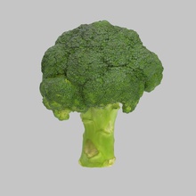 el brócoli cocinado de comedor comer alimentos cocina max modelo la pastelería fotorrealista realista realstuff3d scan los vegetales vray 3d print model - Mito3D