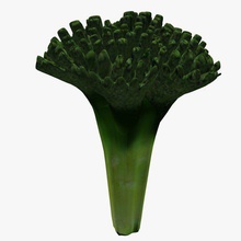 el brócoli de alimentos imprimible lowpoly 3d print model - Mito3D