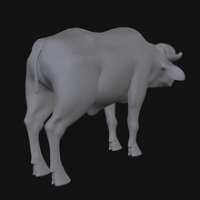 buffalo Afrika Amerikan hayvan bison cape model visualpoly vahşi 3d print model - Mito3D