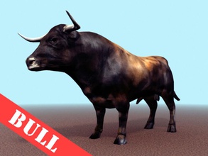 bull 3d hayvan arenas aydin3d sığır eti siyah inek çiftlik gıda arazi lowpoly memeli matador örgü model ox İspanyolca 3d print model - Mito3D