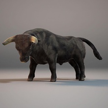 bull hayvan Boğa Güreşi inek mücadele yelesi boynuz memeli öfke sürme tarama çizgi İspanya hisse senedi taunt torero 3d print model - Mito3D