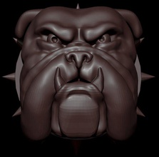 bull dog perro touro cão a cabeça animais 3d print model - Mito3D