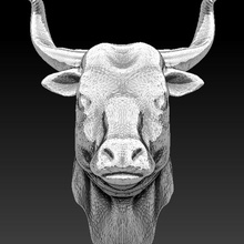 bull head angry animal architecture artwork background bust cow elements garden graphics illustration isolate lucky hunter 2008 model mount retro sculpture stone texas wall white 3d print model - Mito3D