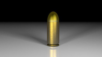 bullet + shell pistol 45 casing ammo magazine weapons 3d print model - Mito3D