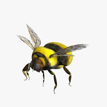 bumblebee 3d vagabondo animale il fienile bee bornet bug occhio volare mosca canina casa domestica gli insetti joseclemente modello mouche wasp 3d print model - Mito3D