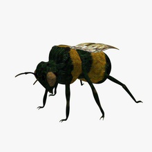 bumblebee böcekler yazdırılabilir lowpoly 3d print model - Mito3D