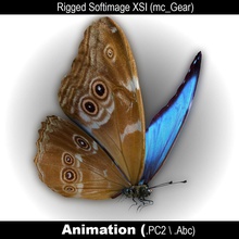 butterfly blue morpho 3d 3ds animal beautiful beetle bird bug fbx garden insects max menelaus mental model neotropical obj ray realistic rig scn volj wing 3d print model - Mito3D
