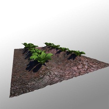 le chou de la fleur verger peregrind l'usine petite d'arbre en arbre légumes 3d print model - Mito3D