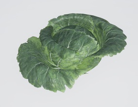 cabbage crop crwill13 farm foliage food leaf model plant small vegetable 3d print model - Mito3D