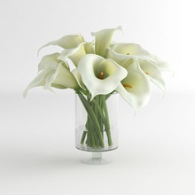 calla lily flower glass vase 01 decoration design fixcode84 furniture house kitchen live model new plant pottery room small tree 3d print model - Mito3D