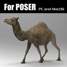 camello poser 3d errante áfrica animal saudita arábiga camelus el circo de la colección desierto dromedario duna egipto juego los mamíferos modelo río zoológico 3d print model - Mito3D