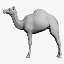 cammello realistico untextured l'anatomia animale occhio luce verde mammifero modello poligonale realistici 3d print model - Mito3D