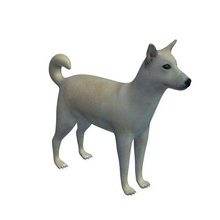 canaan dog v1 animali cane stampabile lowpoly 3d print model - Mito3D