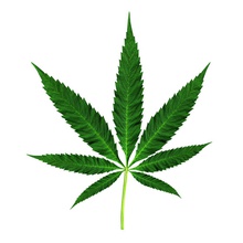 cannabis leaf 3d Zigarre Zigarette Kokain ddd Künstler Drogen heroin Blatt lsd das marihuana Marihuana Medizin Modell pflanze pot entspannen klein Substanz Tabak Unkraut 3d print model - Mito3D