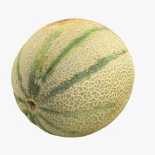 melone cibo frutta giardino cucina modello arancione fotorealistiche la pianta albero vray vyvera 3d print model - Mito3D