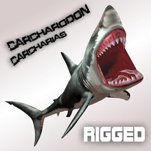 carcharodon carcharias megalodon animale carattere pericoloso dzrox pesce grande modello rig shark bianco 3d print model - Mito3D
