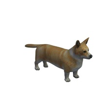 welsh corgi cardigan v1 le gallois animaux imprimable lowpoly 3d print model - Mito3D