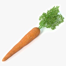 Karotten-2 2 abramsdesign die Karotte Essen frisch Obst Gesundheit gesund Markt Modell pflanze produzieren Gemüse 3d print model - Mito3D