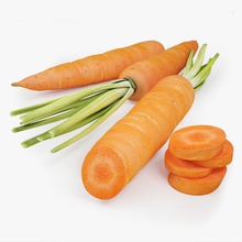 carota 3d 3ds b carotene la ritagliare cibo fresco succosa max modello prodotto root segmentato schizzo fetta studios fittone gustosa top di verdure veggie le vitamine vray 3d print model - Mito3D
