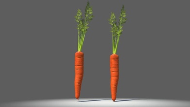 carrots black phantom carrot food fruit green healthy model orange root taper underground vegetable 3d print model - Mito3D
