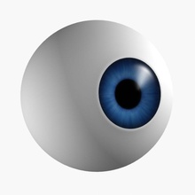 cartoon eye anatomy assets blue body character eyeballs fatgod88 human iris model 3d print model - Mito3D