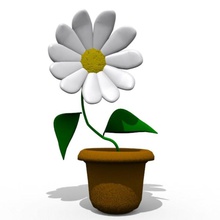 cartone animato fiore la camomilla catena chamomel carattere margherita decorazione giardino casa ridere maxdim modello pianta pot sauser piccola sorriso toon il vaso ruota 3d print model - Mito3D