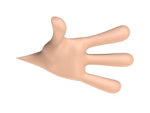 cartone animato a mano l'anatomia corpo carattere alle estremità dito divertente ragazzi umana gli arti maschio uomo modello pelle toon weeger 3d print model - Mito3D
